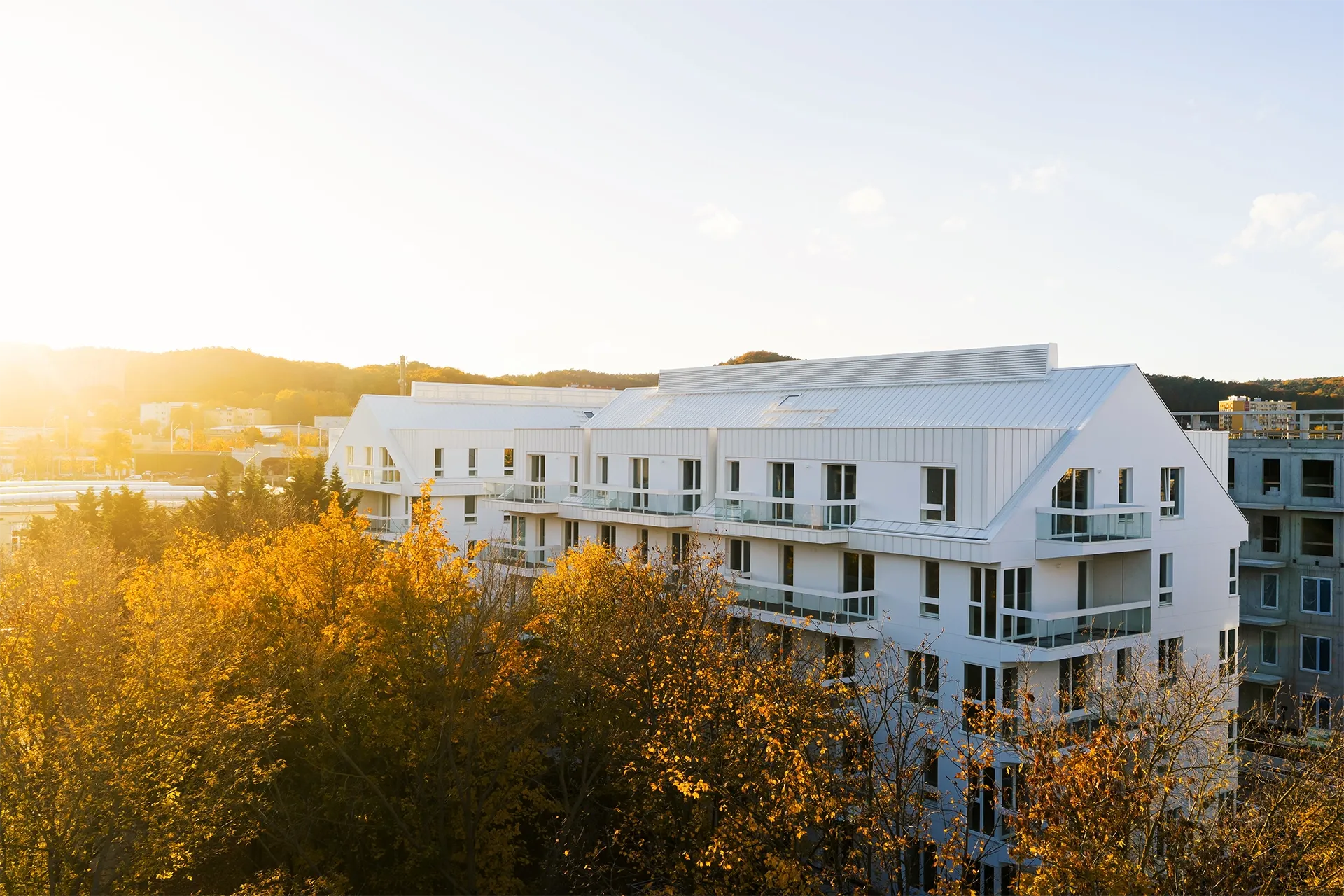 Wita77_jesien_25-51 kopia.webp