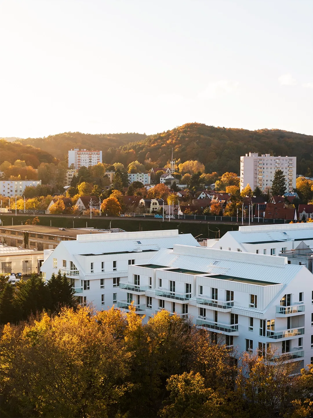 Wita77_jesien_25-58 kopia.webp