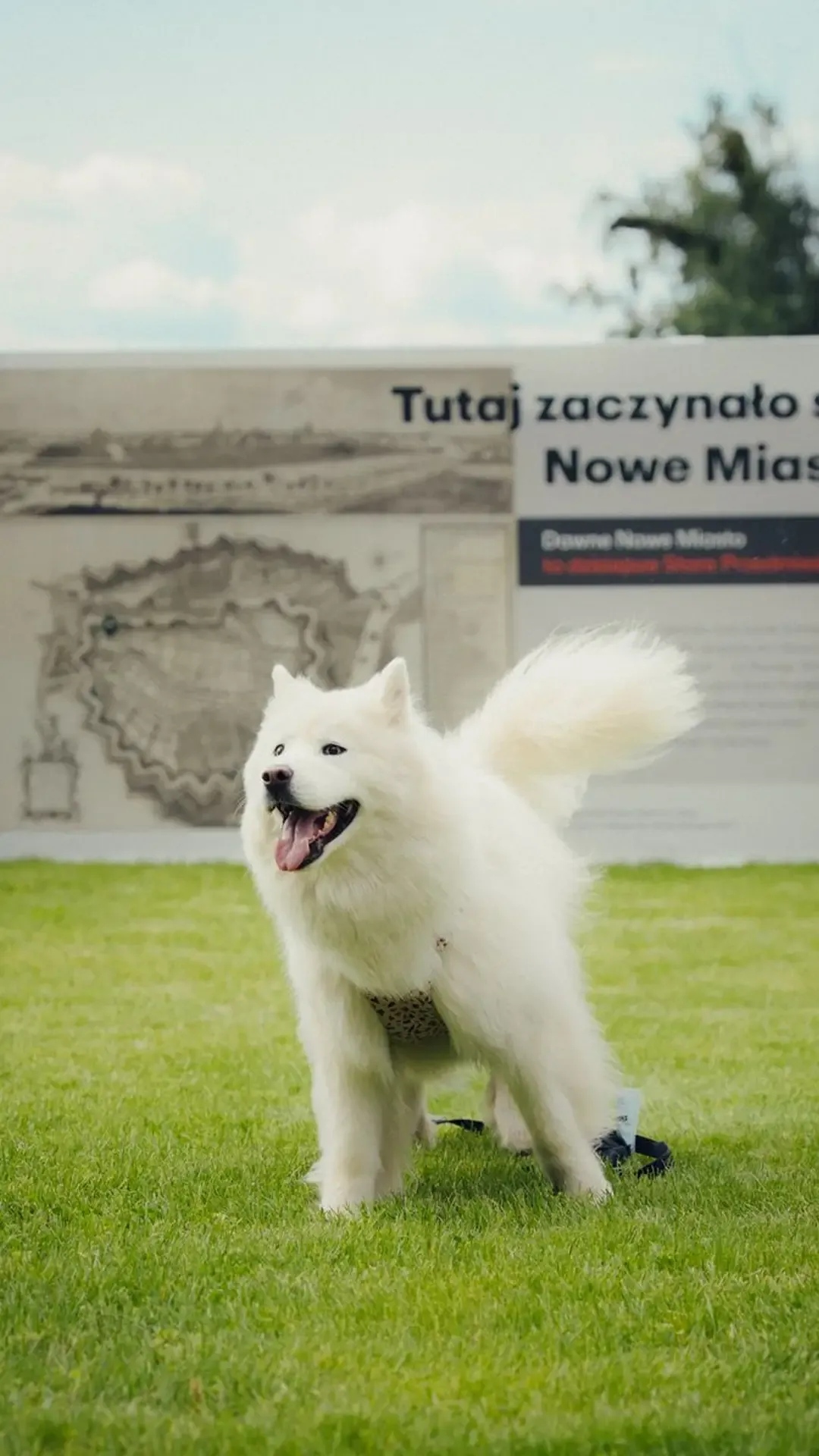 dni-otwarte-off-miasto-9.webp