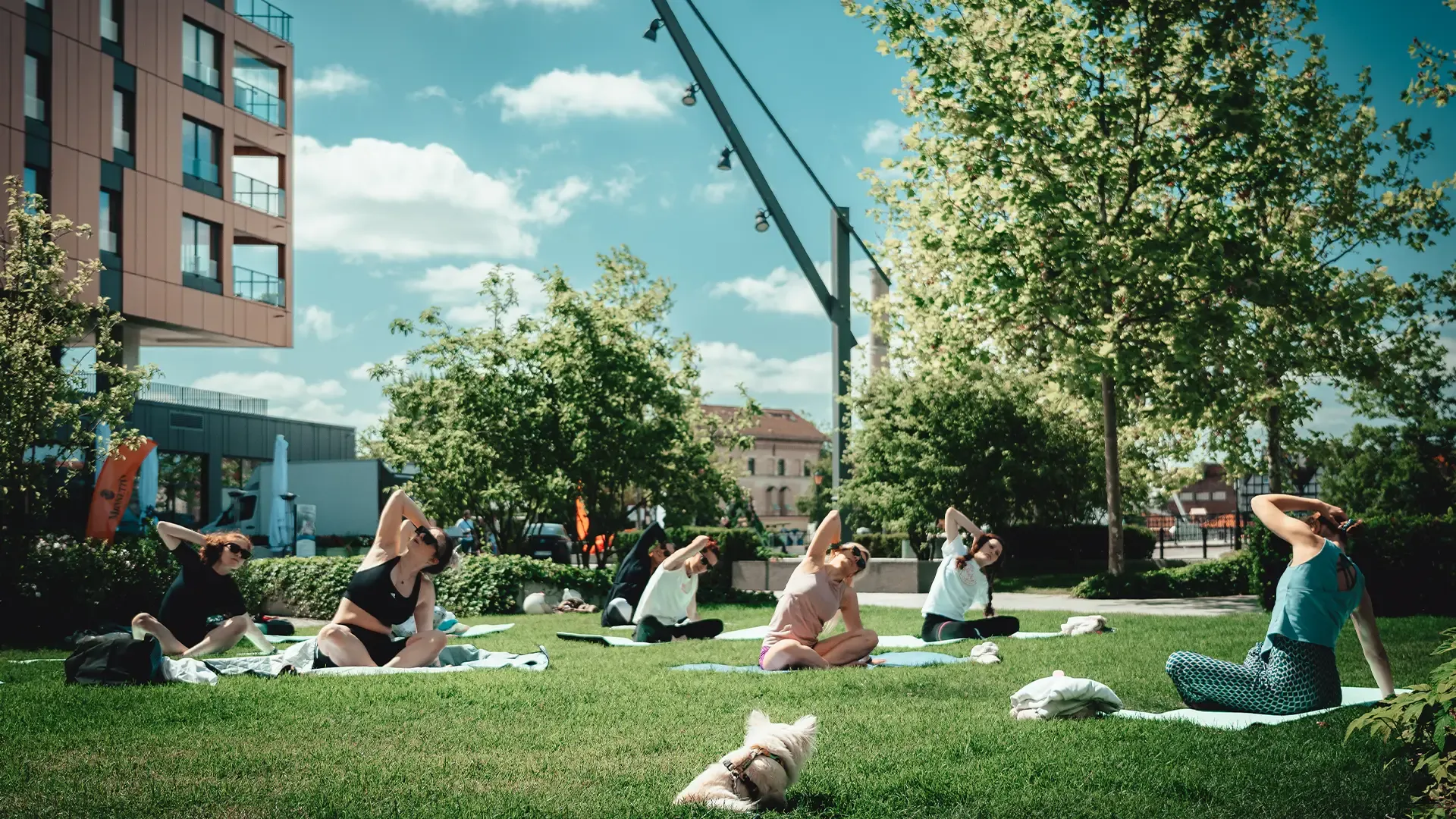 joga-brabank.webp